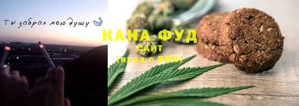 винт Ельня
