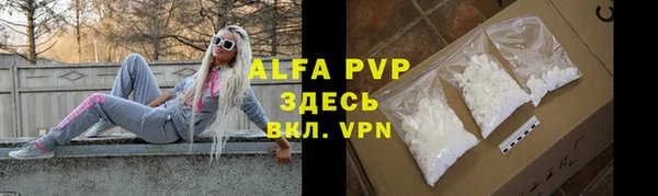 винт Ельня
