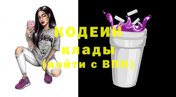 винт Ельня