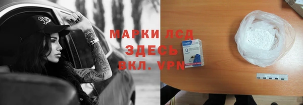 винт Ельня