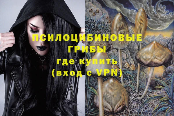 гидропоника Елабуга