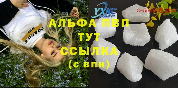винт Ельня