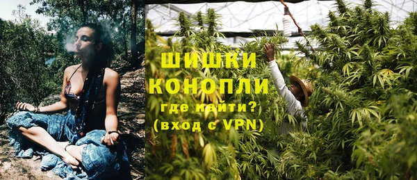 гидропоника Елабуга