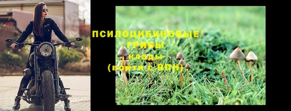 мяу мяу кристалл Елизово