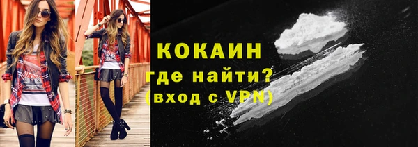 винт Ельня