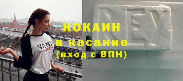 винт Ельня