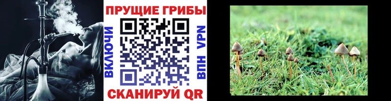 Галлюциногенные грибы мухоморы  Купить где  Злынка 